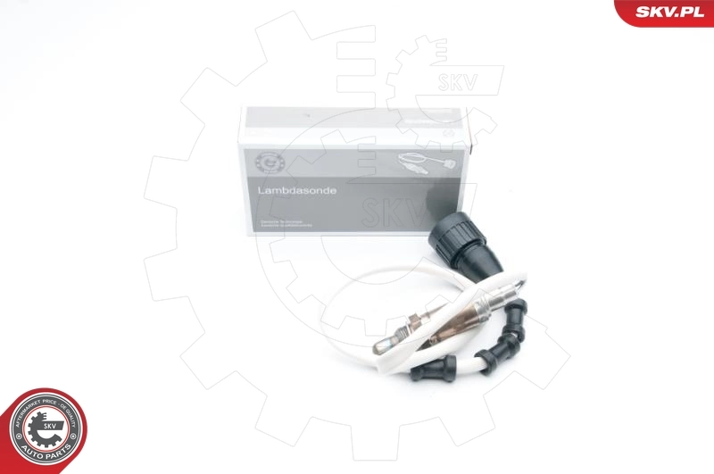 Oxygen Sensor